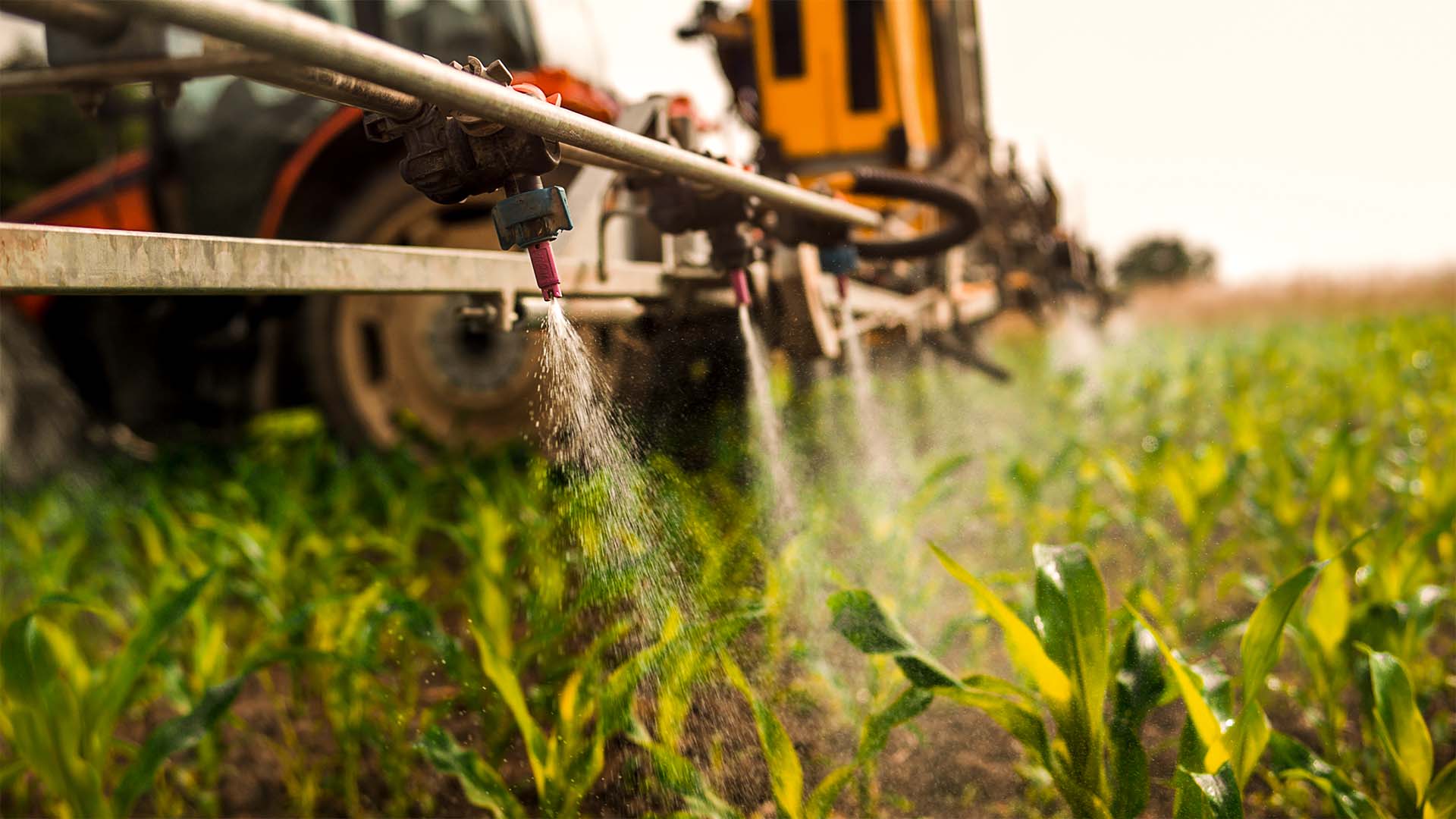 Adjuvante agrícola aplicado em lavoura